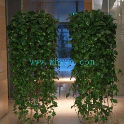 植物租摆-成都美汇园艺提供植物租摆的相关介绍、产品、服务、图片、价格花卉苗木租赁、花卉苗木销售、园林绿化工程设计、园林绿化工程施工、绿化养护、