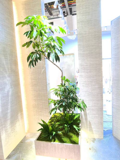 2026年 杭州植物租赁服务商推荐:办公室/小区/园区室内绿植花卉租赁