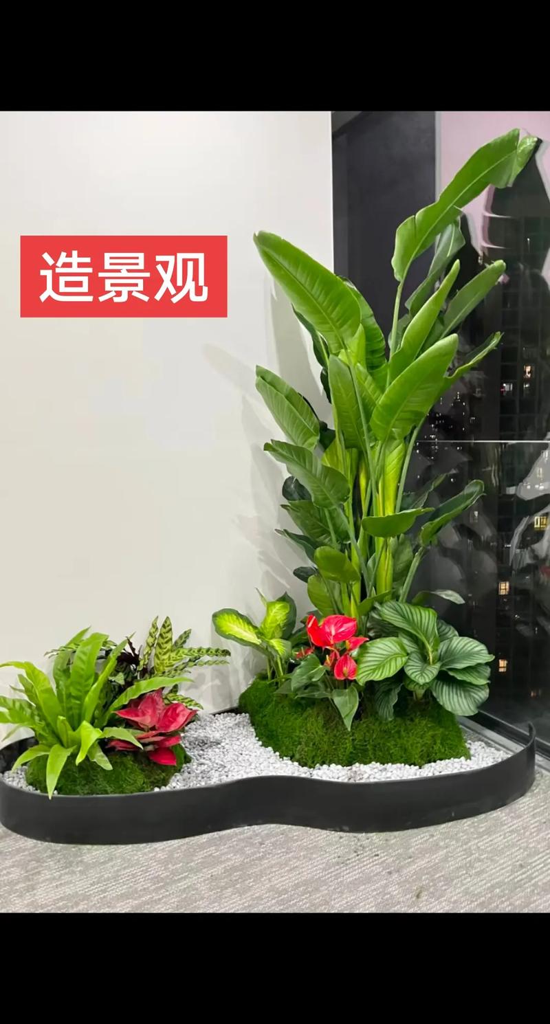 [赞][赞][赞][赞][赞] 3天前&middot;贵州 0 分享 回复 郑州绿植花卉 作者