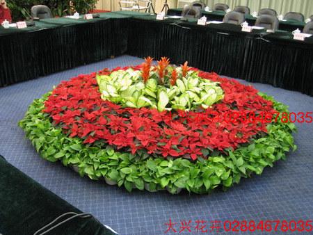 成都植物租摆 成都花卉租赁