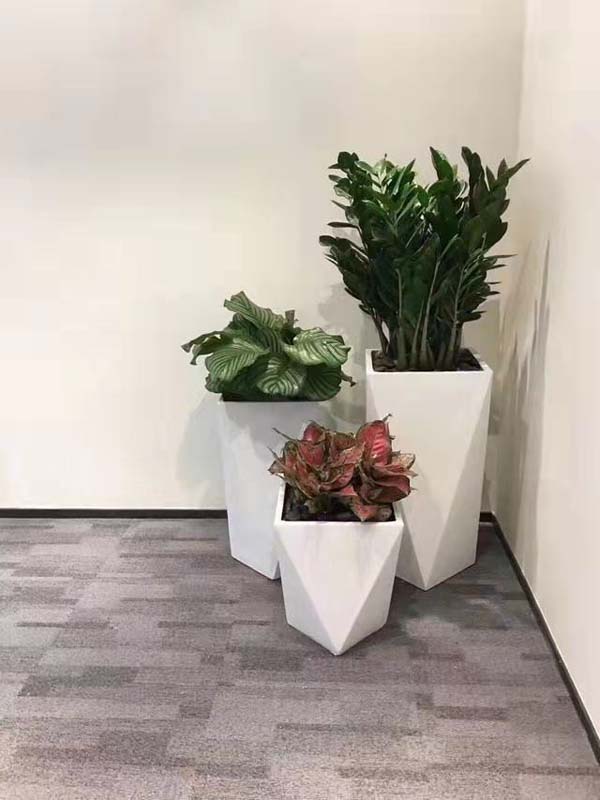 上海植物租赁公司-上海花卉出租-上海办公室植物租摆-上海