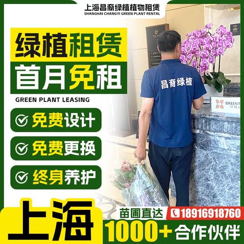 上海花卉绿植租赁植物 租花绿植租摆养护上门办公室楼上海昌裔绿