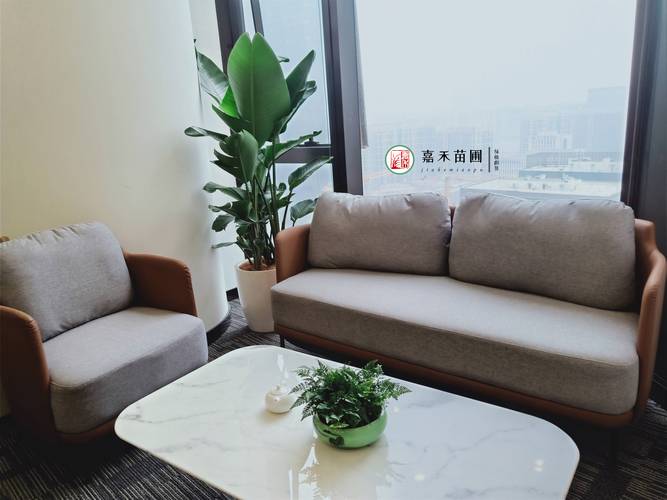 绿植租摆|雁塔区一站式花卉租赁物美价廉商家排行榜_服务_养护_植物