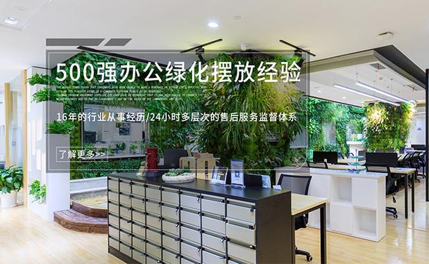 上海绿植租赁公司分享室内植物花卉十大养护原则