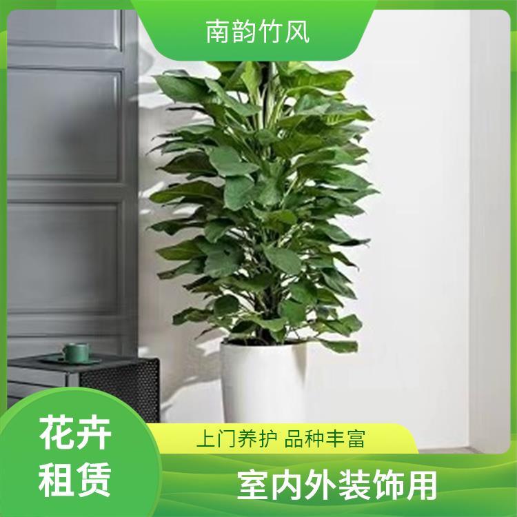 南韵竹风 以花卉租赁与专业养护，为企业打造室内生态办公空间